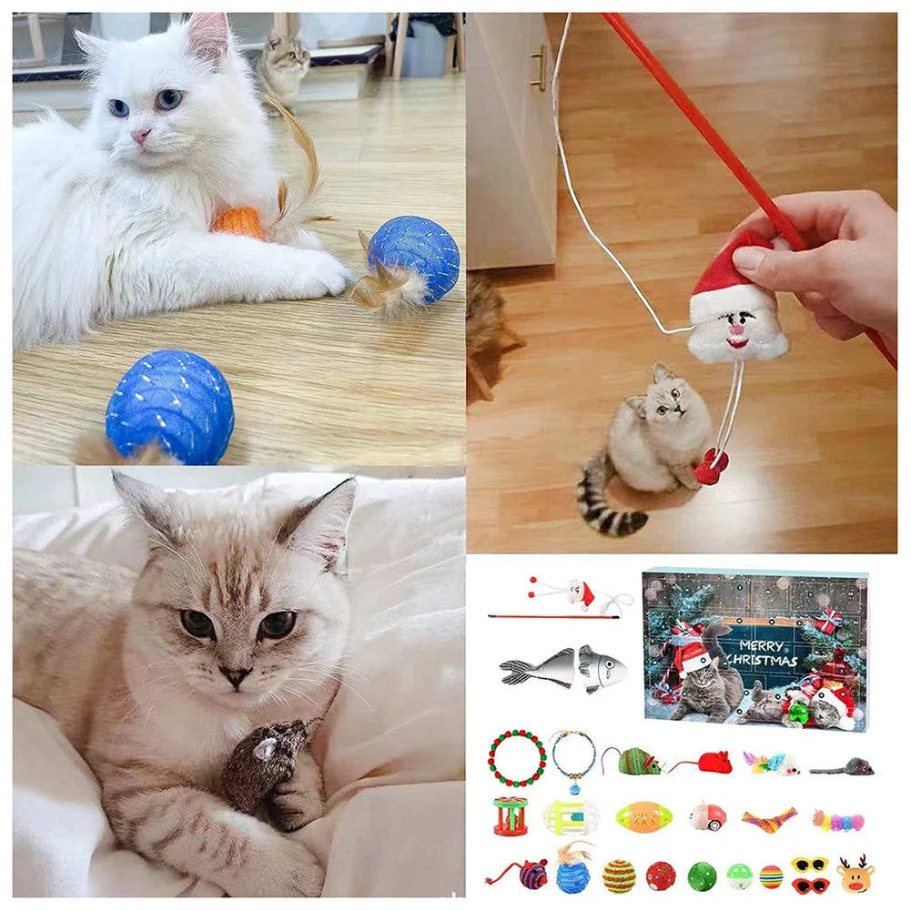 Cat Advent Calendar